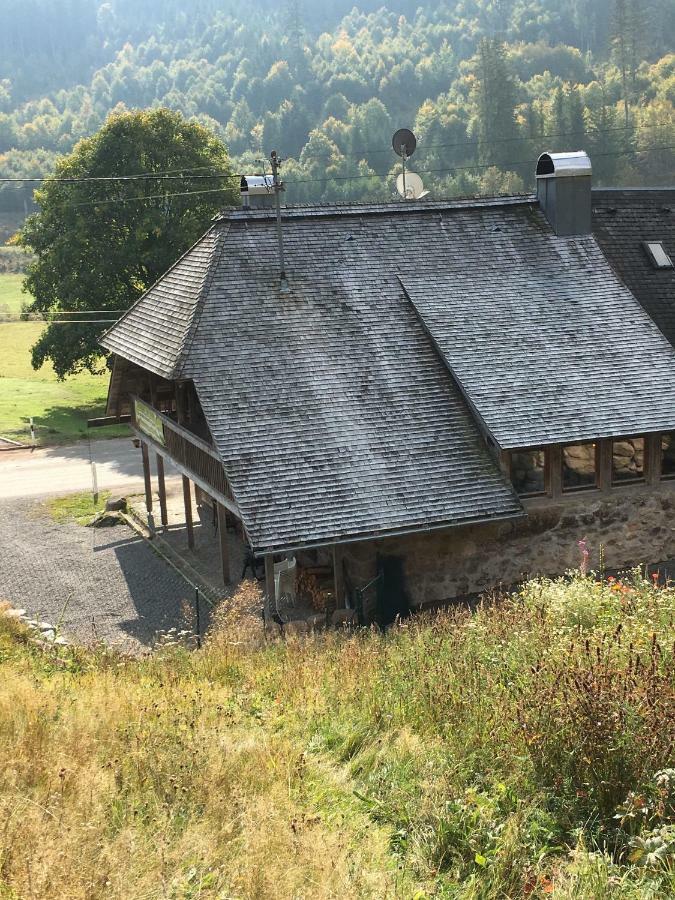 Romantisches Schwarzwaldhaus Aule Bagian luar foto